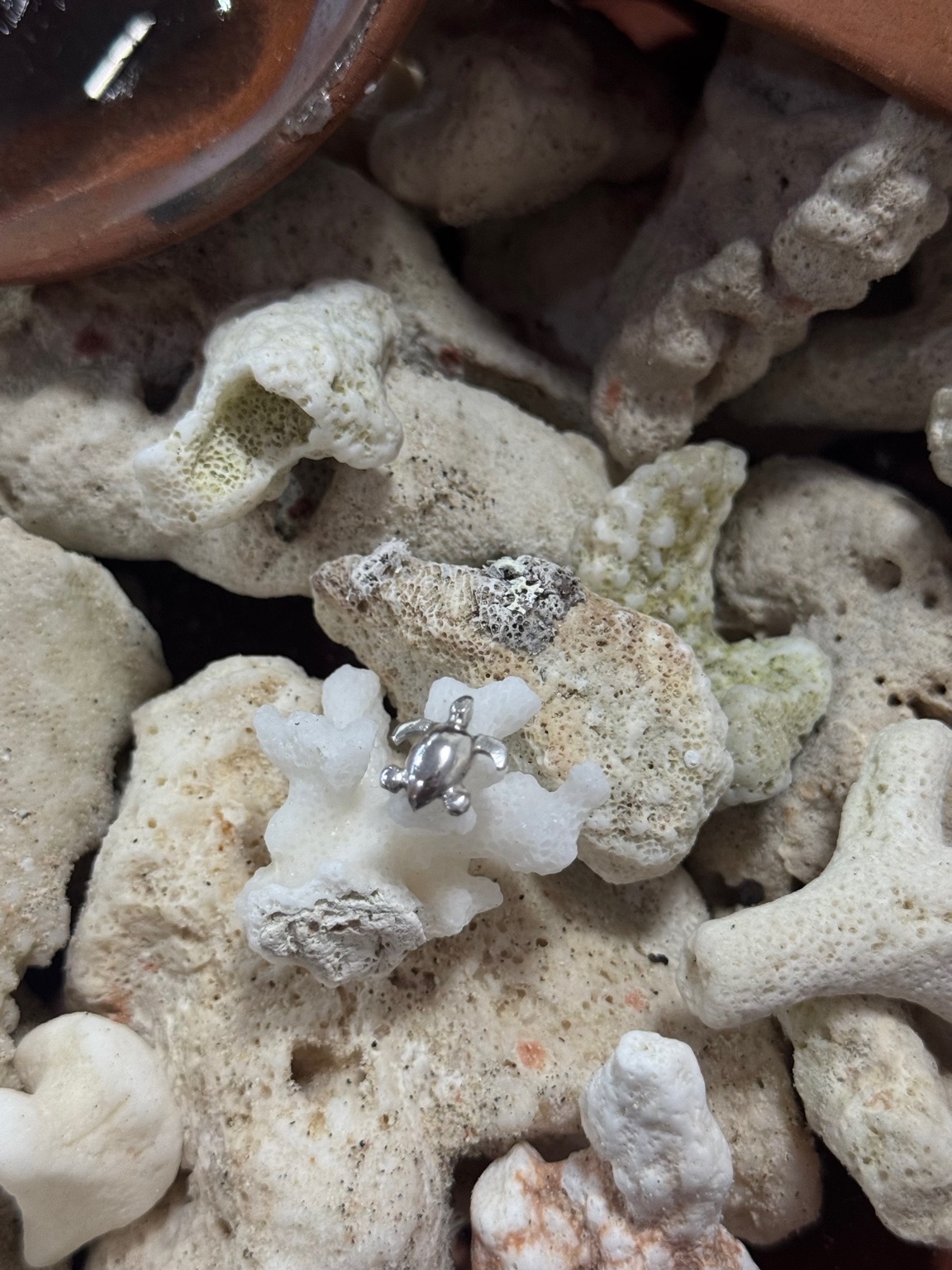 Silver class ring example